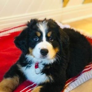 Meet your Posher, Marilyn